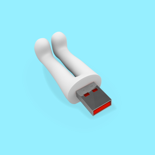 USB Flash Drives