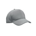 RAYS 5 Panel reflective poly cap