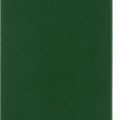 Moleskine Classic Large Ruled Hard Cover Notebook