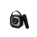 TERAMO - Portable Karaoke Speaker Set with Wireless Microphone