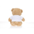 eco-neutral® GRS Recycled Teddy Bear Plush Toy (EN71 tested) - 20cms