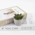 CAMAS - Artificial Succulent Plant in Pulp Pot