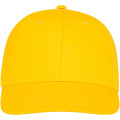 Ares 6 panel cap