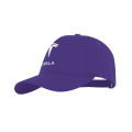 PEAK - Santhome® DryNCool® Advanced Seamless 6