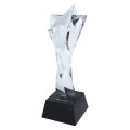 Star Crystal Trophy
