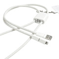 AXON - Giftology USB Type