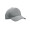 RAYS 5 Panel reflective poly cap
