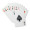 ARUBA Playing cards in pp case