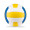 VOLLEY Volleyball in matt PVC