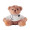 DOC Teddy bear plush doctor