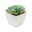 ARTIECHE Mini artificial plant