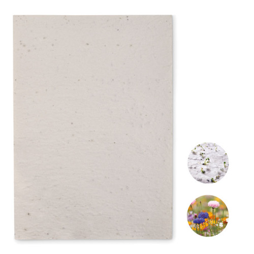 ASIDI A4 wildflower seed paper sheet