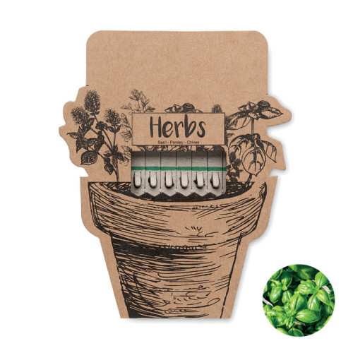 Seed Sticks