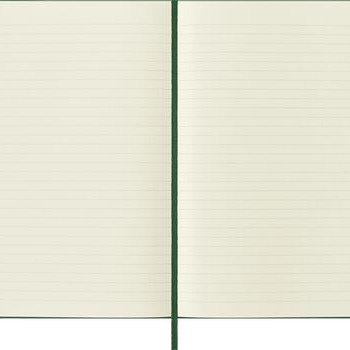 Moleskine Classic Large Ruled Hard Cover Notebook - Myrtle Green