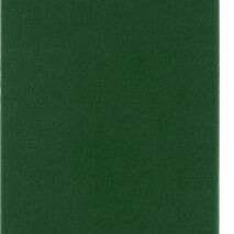 Moleskine Classic Large Ruled Hard Cover Notebook - Myrtle Green