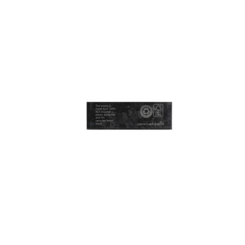 FARSO - Waste-to-Wins® Recycled Award - Black Swirl