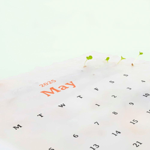 eco-neutral® Plantable Calendar with 12 Sheets Seed Paper