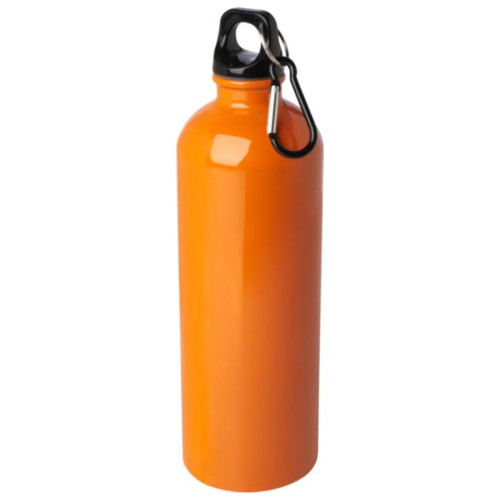 Oregon 750ml  Single Wall Stainless Steel Water Bottle with Carabiner