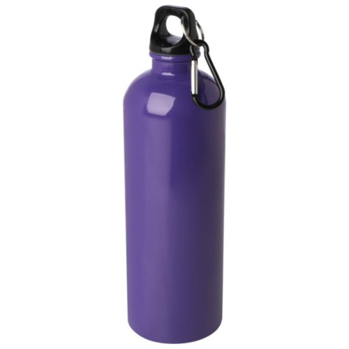 Oregon 750ml  Single Wall Stainless Steel Water Bottle with Carabiner