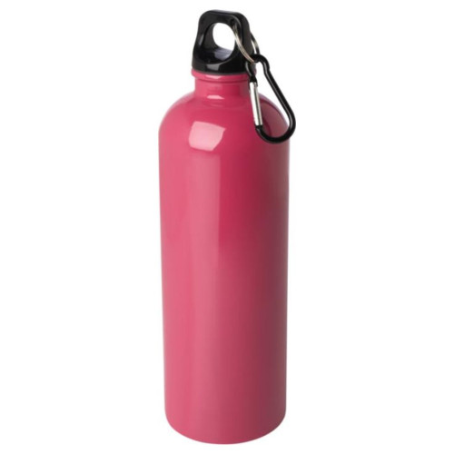 Oregon 750ml  Single Wall Stainless Steel Water Bottle with Carabiner