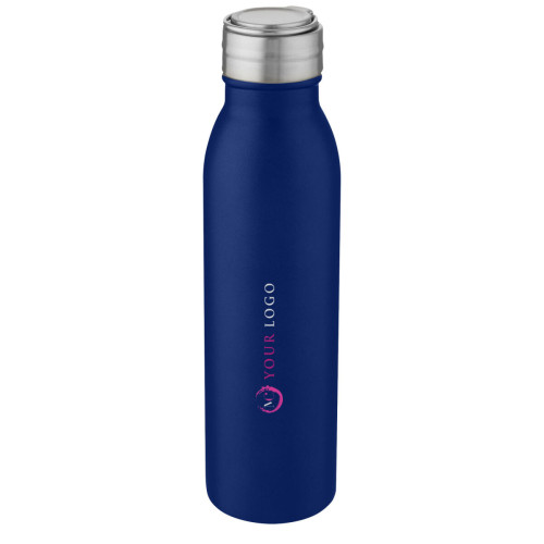 Harper 700 ml stainless steel water bottle with metal loop