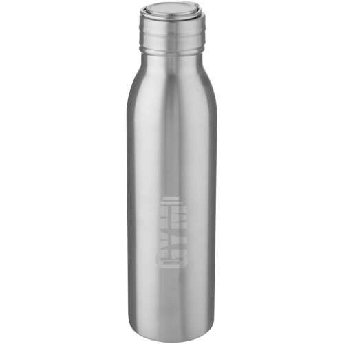 Harper 700 ml stainless steel water bottle with metal loop